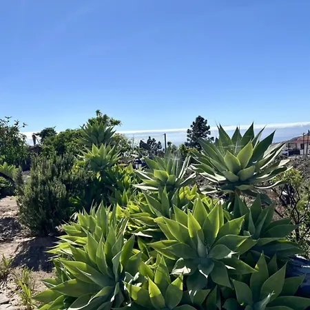 Rural El Estanco Viejo Casa Pino * 아데제