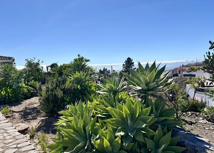 Rural El Estanco Viejo Casa Pino * Адехе